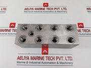 Daman Dd03P042S Ductile Valve Manifold 0618
