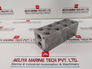 Daman Dd03P042S Ductile Valve Manifold 0618