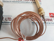 Danfoss 065-0601 Thermostatic Actuator +20...+70Â°C