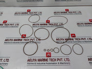 Danfoss 11035671 Replacement Of Control Gasket Seal Kit