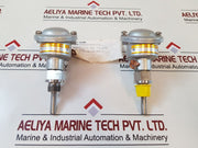 Degussa Pt100 Platinum Resistance Sensor 631966