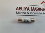 Set Of 10X Df Electric 421040 Cartridge Fuses