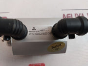 Domnick Hunter P1J-s032/S50767 Short Stroke Cylinder