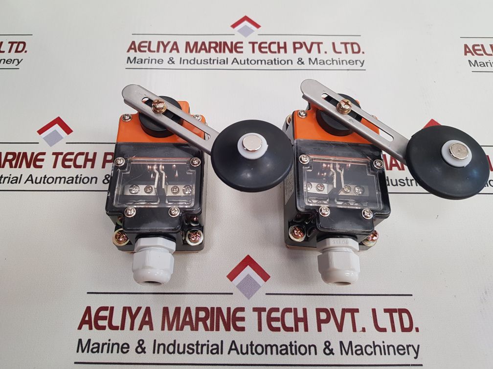 Bosung Dong In Electric K-type Safety Extreme Switch