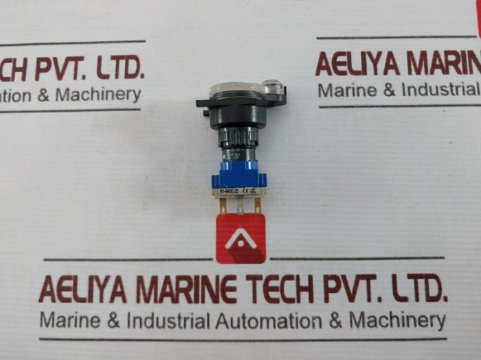 Eao 61-1200.0 C Push Button 320V 48V/1 2W 2A 250 V 5A 300V Ac