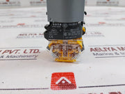 Eao 704.900.5 Switching Element W/ Lamp Block & Flange 704.900.5/704.950.5 250V