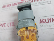 Eao 704.950.0 Switching Element 704.900.1 380V/2,4W 500V 10A 300V AcÂ 