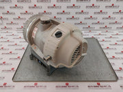 Edwards Xds35I Vacuum Pump Ac Motor A73001983 200-230V 6.6A 50/60Hz