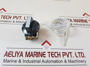 Ego 55.13239.020 Thermostat (New)