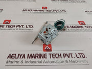 Ego 55.33554.010 Safety Thermostat (New)