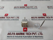 Ego 55.34052 110 Thermostat