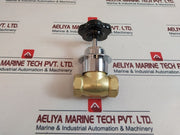 Elro 13-1413 Straight Way Steam ValveÂ 