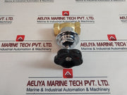 Elro 13-1413 Straight Way Steam ValveÂ 