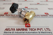 Elro 13-1413 Straight Way Steam ValveÂ 