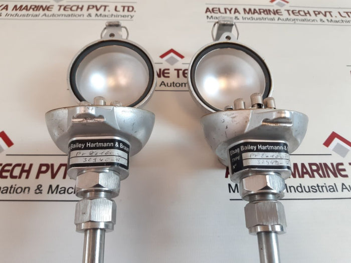 Elsag Bailey Hartmann & Braun Pt 2×100Ohm Platin.Res.Sensor Lg=150