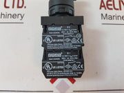 Lot of 5X Emas B2 Position Switch 600453 300V