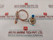 Emerson Â 83-6746-9 Expansion Valve G1700