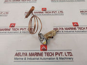 Emerson Â 83-6746-9 Expansion Valve G1700