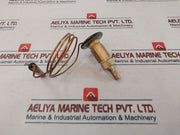 Emerson Â 83-6746-9 Expansion Valve G1700