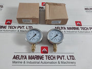 En-837-1 Pressure Gauge Cl. 1.6 0-60 Bar
