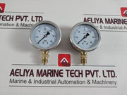 En-837-1 Pressure Gauge Cl. 1.6 0-60 Bar