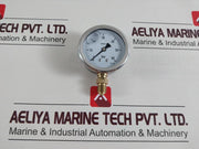 En-837-1 Pressure Gauge Cl. 1.6 0-60 Bar