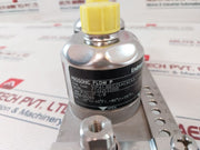 Endress+Hauser P-cl-2F-l-b Ultrasonic Flow Sensor