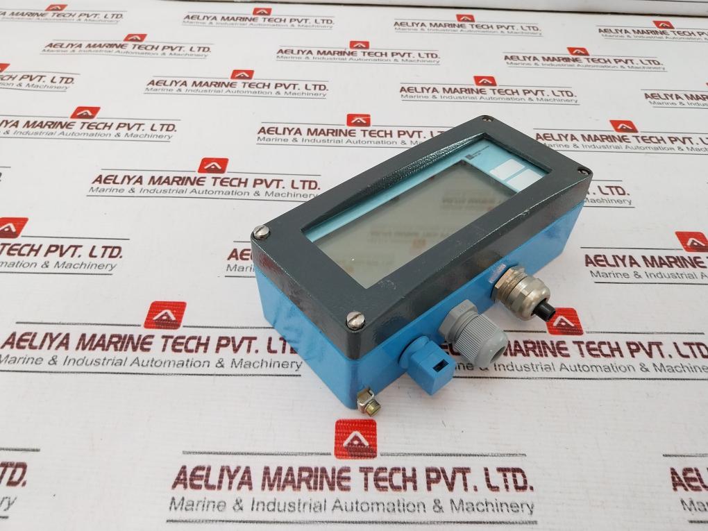 Endress+Hauser Ria261-a12 Process Indicator 30Vdc – Aeliya Marine