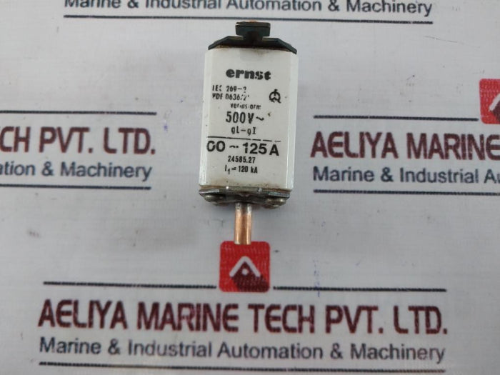 Ernst 00-125A Fuse Gl-gi 500V~