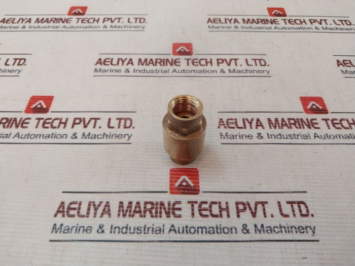 Euroblock 3/8” Npt Brass Check Valve