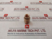 Euroblock 3/8â€ Npt Brass Check Valve