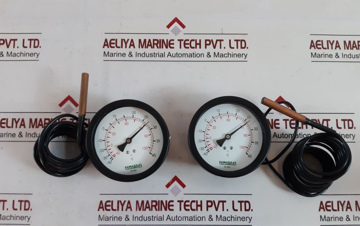 Famabras 7843001001 Thermometer