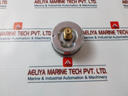 Famabras Nbr 14105.1 Analog Gauge