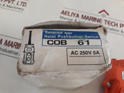 Fang Yu Xing Qi Zhong An Niu Cob 61 Hoist Pushbutton Switch