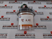 Federal Signal 225Xst Strobe Warning Light 120V 0.25A Type 4X Ip65