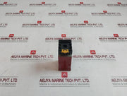 Fiber E 58 Multifunction Electronic Timer 24/110/220V 250V- 10A 30X4W