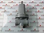 Fisher Mr95H Pressure Regulator Valve Cf3M/Cf8M+A030