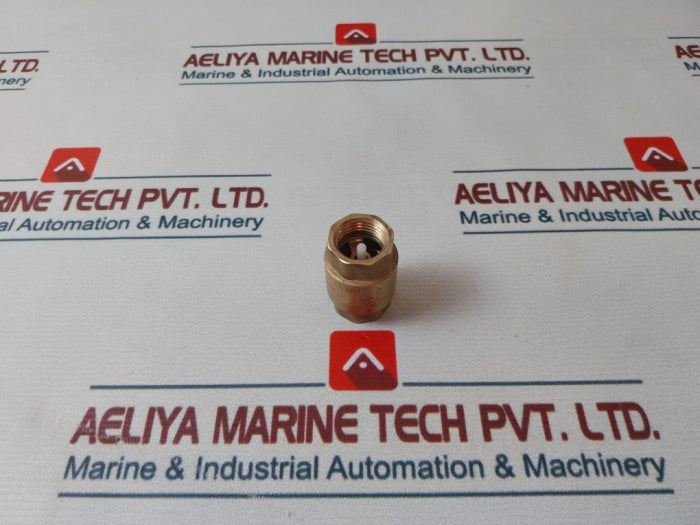 Fiv Eura 1/2" Check Valve