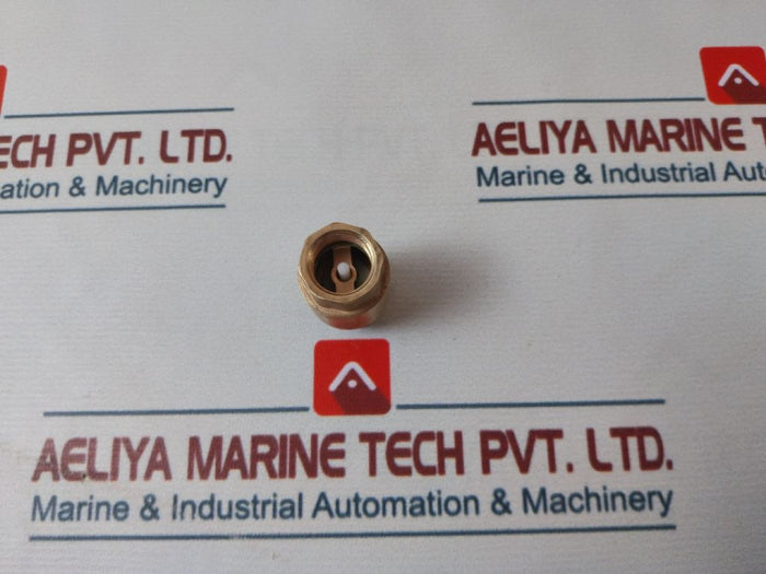 Fiv Eura 1/2" Check Valve