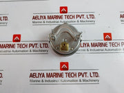 Flender En837-1 Pressure Gauge 0-40/60 Bar G 1/4B Process Connection