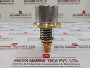 Fpe 2050-140 Thermostatic Control Valve