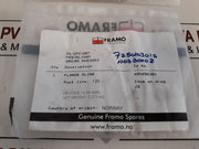 Framo 405890301 Flange Blind