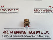 Frymaster 123205 Plug For Anode W/Gasket