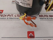 General Electric 5Kcp39Pgl795Bs Motor