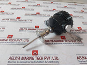 General Instruments Consortium 2Xpt100 Temperature Sensor Ip67 118 Mm