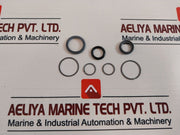 Gilmore 22526-60 Sk Seal Kit 7401894