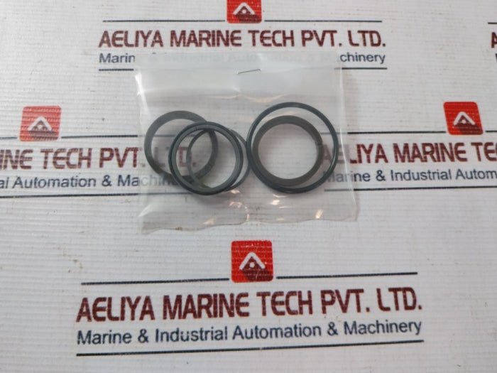 Gilmore 7401709 1/2” Eh Cage Assembly Repair Kit Rev.C