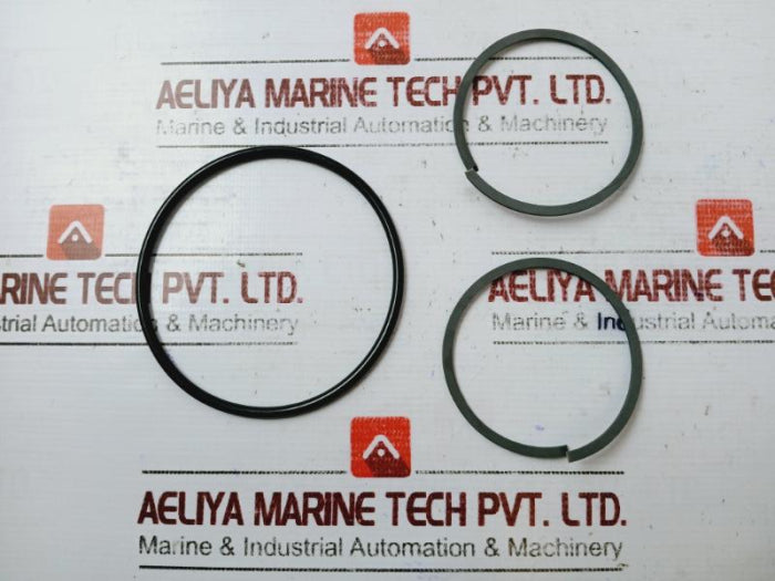 Gilmore 7401957 Repair Kit For 1-1/2 In No, Eh-type Spm Valve