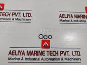 Gilmore Valve 1721-0999 Repair Kit