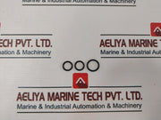 Gilmore Valve 1721-0999 Repair Kit Vlv